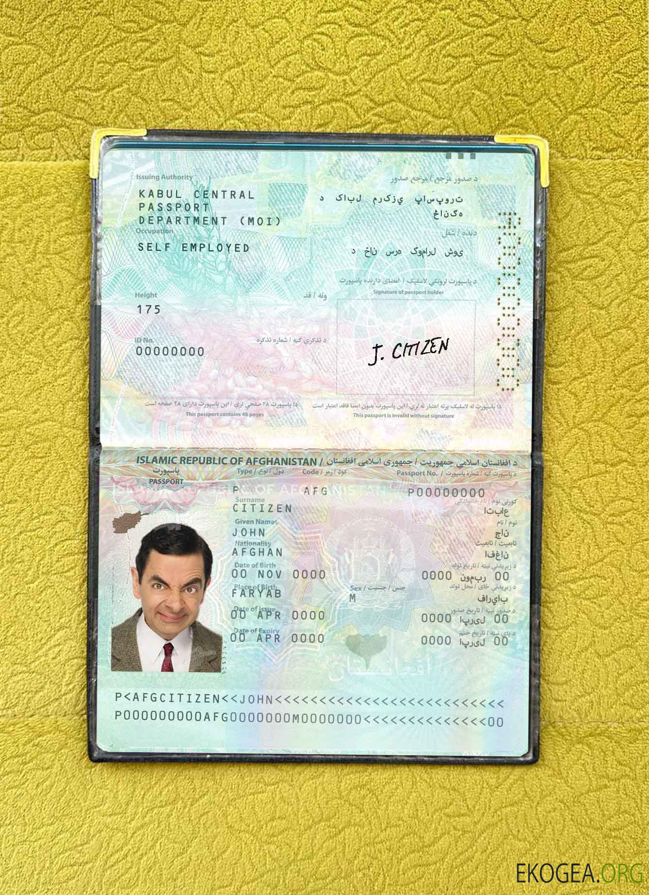 Look de photo de passeport afghan